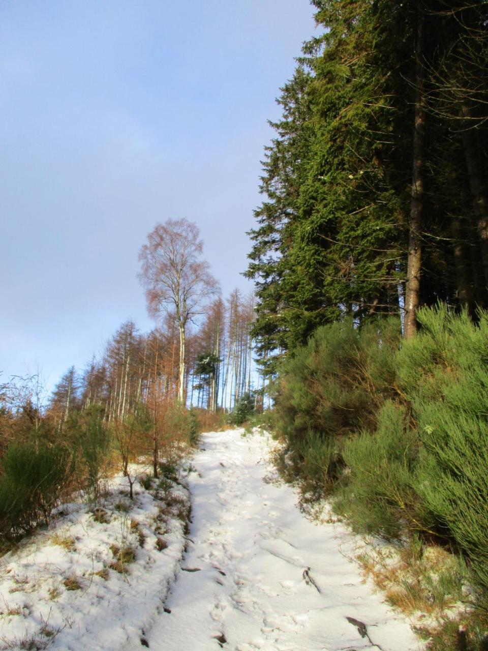 Pitlochry Youth Hostel Esterno foto